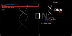 Read more about the article DNA TV Addon For Kodi